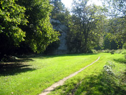 Schönhofen